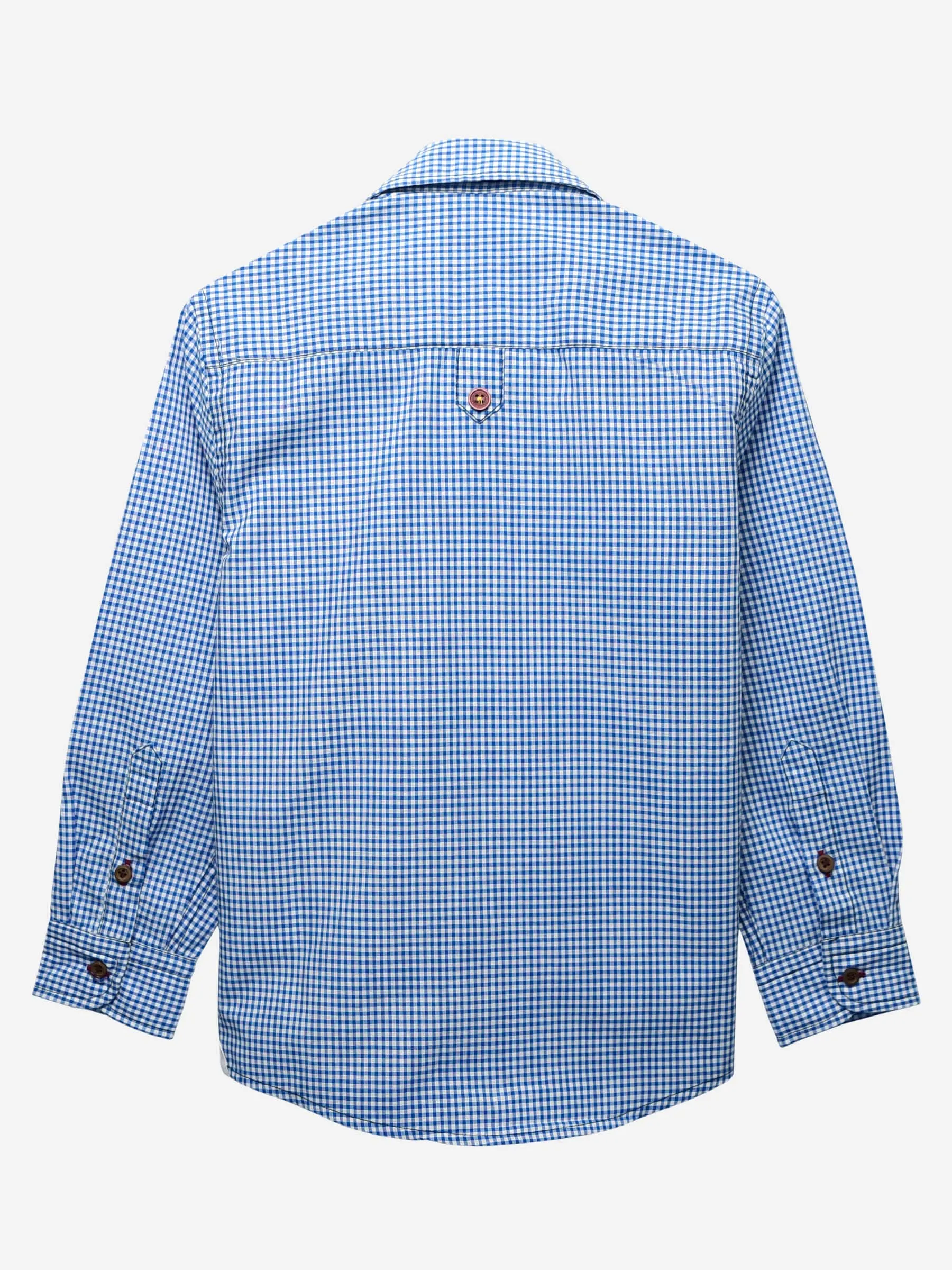 Blue Gingham Casual Long Sleeve Shirt