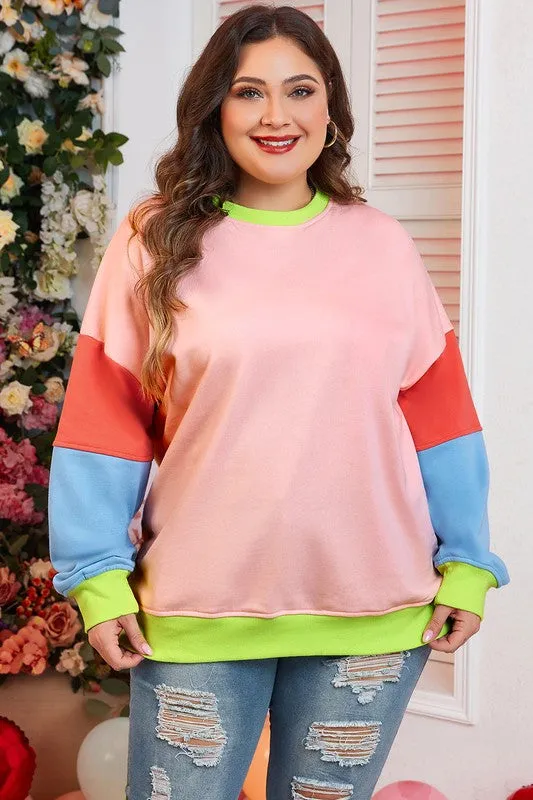 Women Plus Size Colorblock Crew Neck Sweatshirt