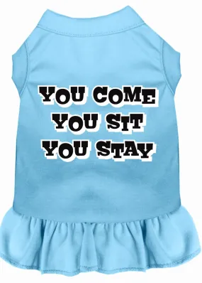 You Come, You Sit, You Stay Screen Print Dress Baby Blue Xs (8)